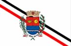 Bandeira de Araras