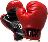 Boxe em Araras