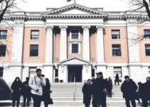 processo seletivo de estágio