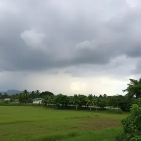 previsão do tempo Araras