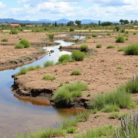 decreto que proíbe uso indevido de água