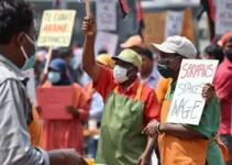 Greve Servidores Araras