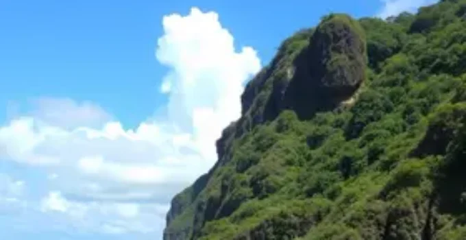 Paulistão Atacadista